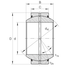 Rodamiento GE17-FO-2RS INA