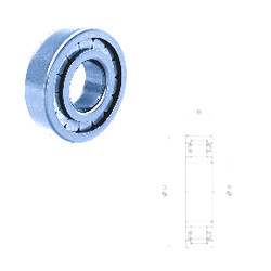 Rodamiento NU309FMN Fersa