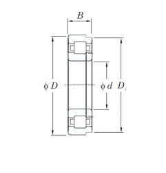 Rodamiento NUP204R KOYO