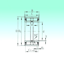 Rodamiento SL045038-PP NBS