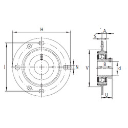 Rodamiento RAY50 INA