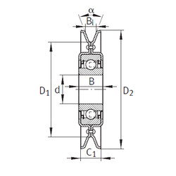 Rodamiento RSRA13-129-L0-L114 INA