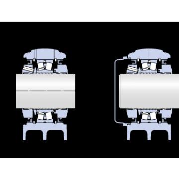 Rodamiento SYNT 60 LTF SKF