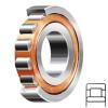 SKF NU 2206 ECP/C3 Rodamientos de Rodillos Cilíndricos