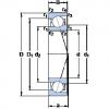 Rodamiento 719/8 CE/HCP4A SKF #1 small image