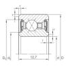 Rodamiento CSXU 055.2RS INA