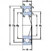 Rodamiento S7017 ACE/P4A SKF