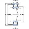 Rodamiento S71919 ACE/P4A SKF