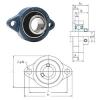 Rodamiento BLF207-22 FYH