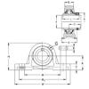 Rodamiento PASEY 25-N NKE