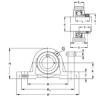 Rodamiento RASEY60-N NKE