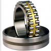 Bearing NNU40/500MAW33