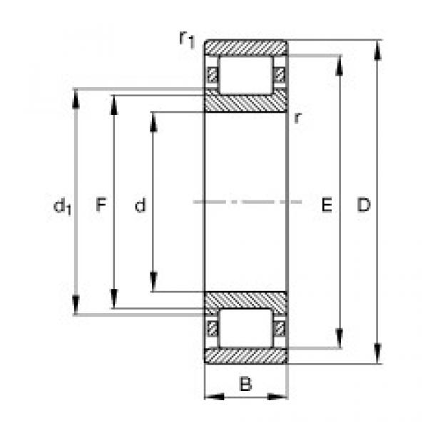 Rodamiento N217-E-TVP2 FAG #1 image