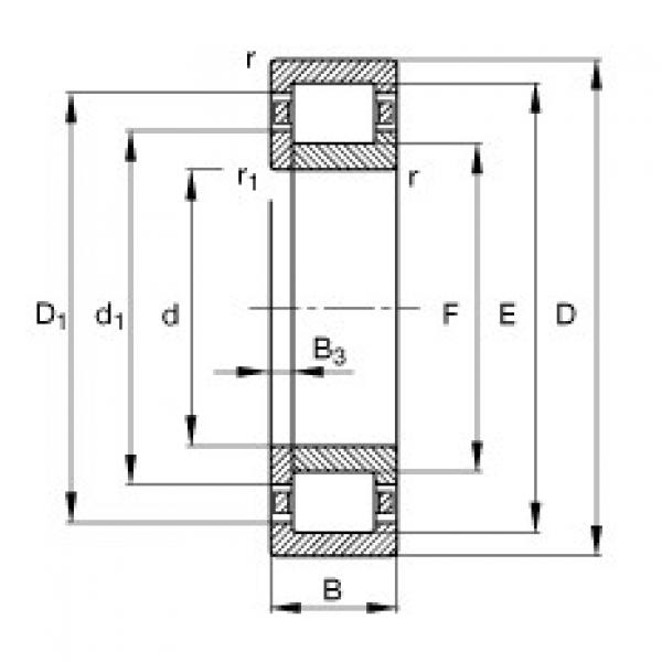 Rodamiento NUP220-E-TVP2 FAG #1 image