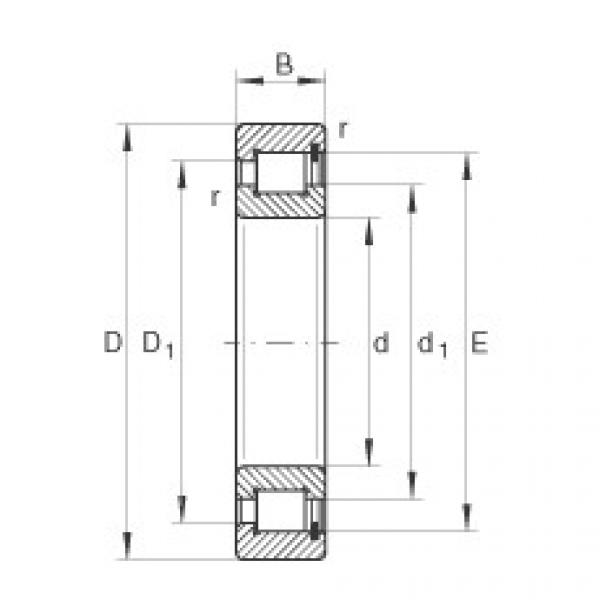 Rodamiento SL183072-TB INA #1 image