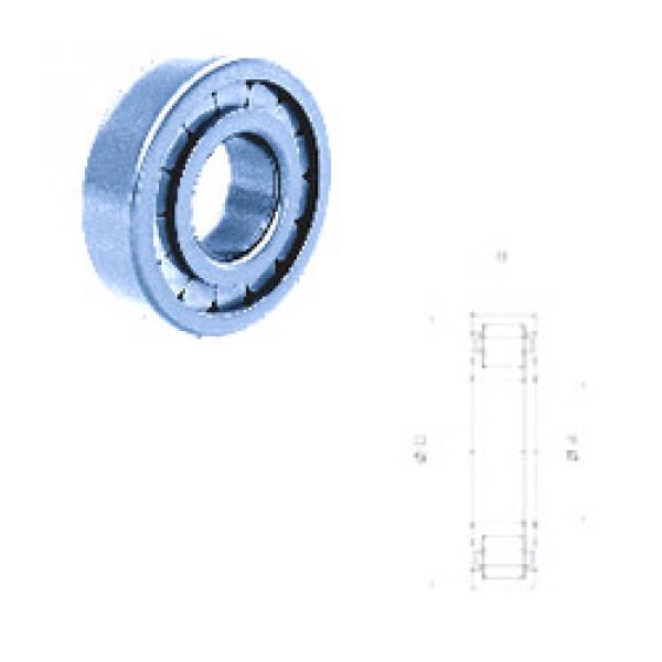 Rodamiento NUP304FM/C3 Fersa #1 image