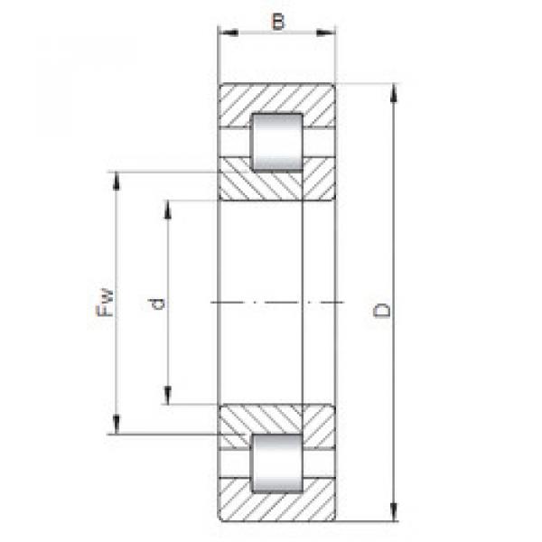 Rodamiento NUP1026 CX #1 image