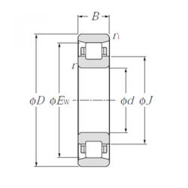 Rodamiento N1064 NTN #1 image