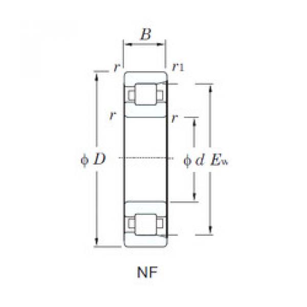 Rodamiento NF213 KOYO #1 image