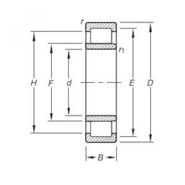 Rodamiento NU305E.TVP Timken #1 image