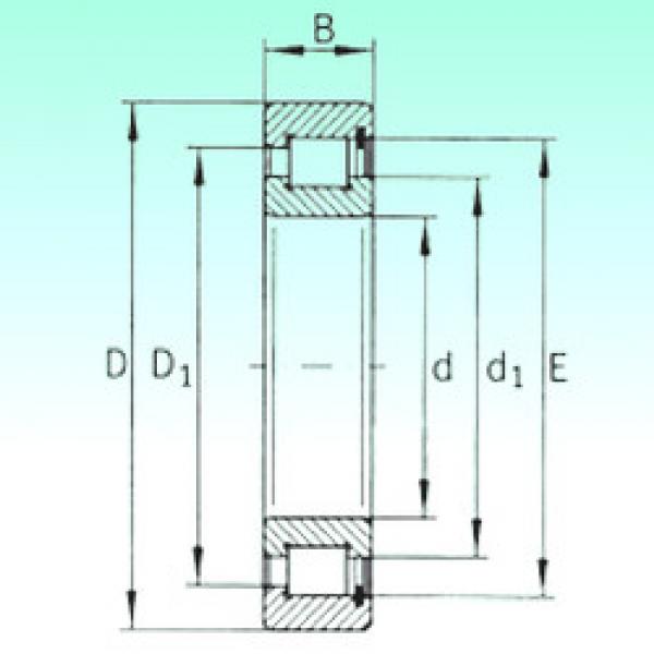 Rodamiento SL183006 NBS #1 image