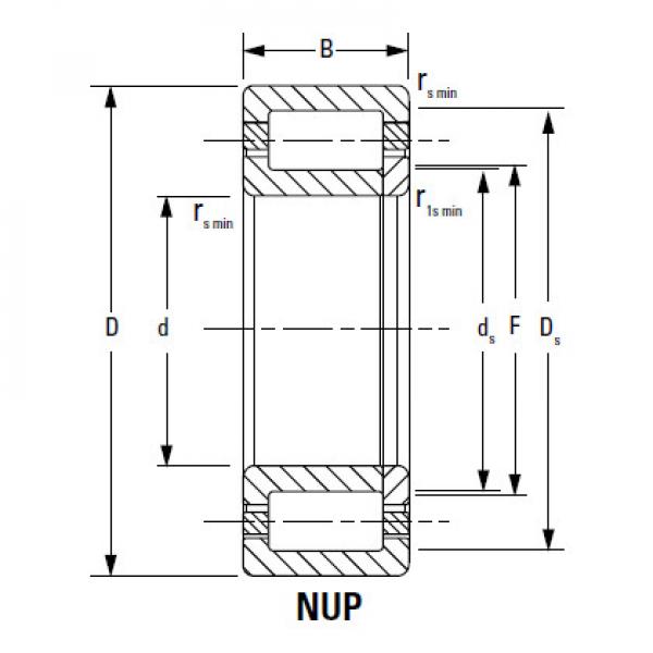 Bearing NU2244EMA #1 image